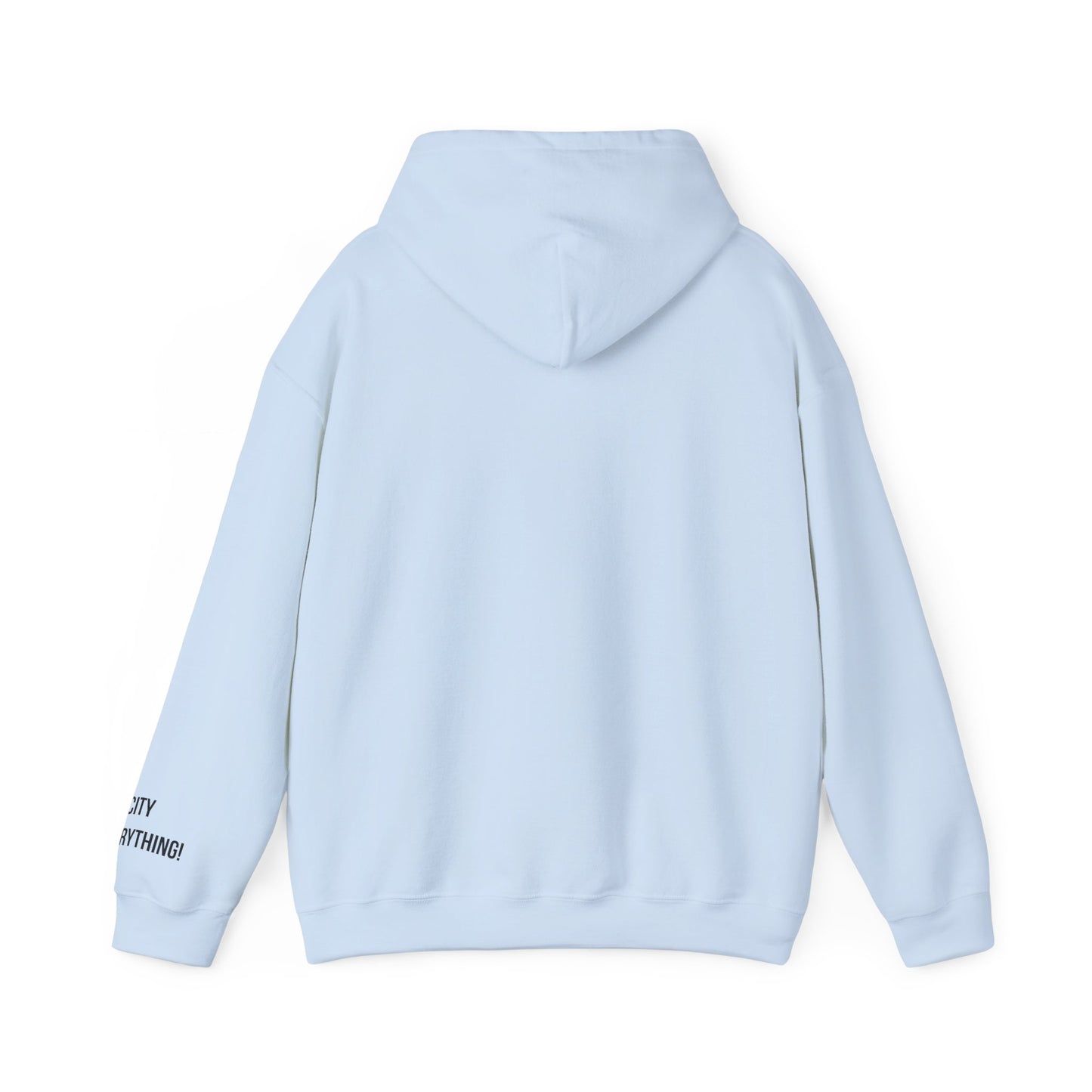 I ❤️ My City Mets Pigeon Hoodie – Blue Cap Edition | My City Is Everything!