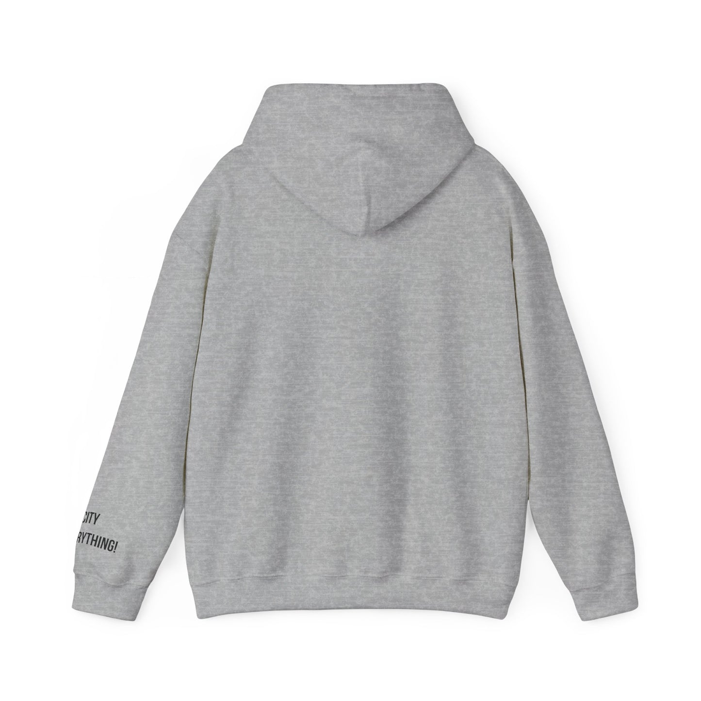 I ❤️ My City Jets Pigeon Hoodie – NYC Streetwear