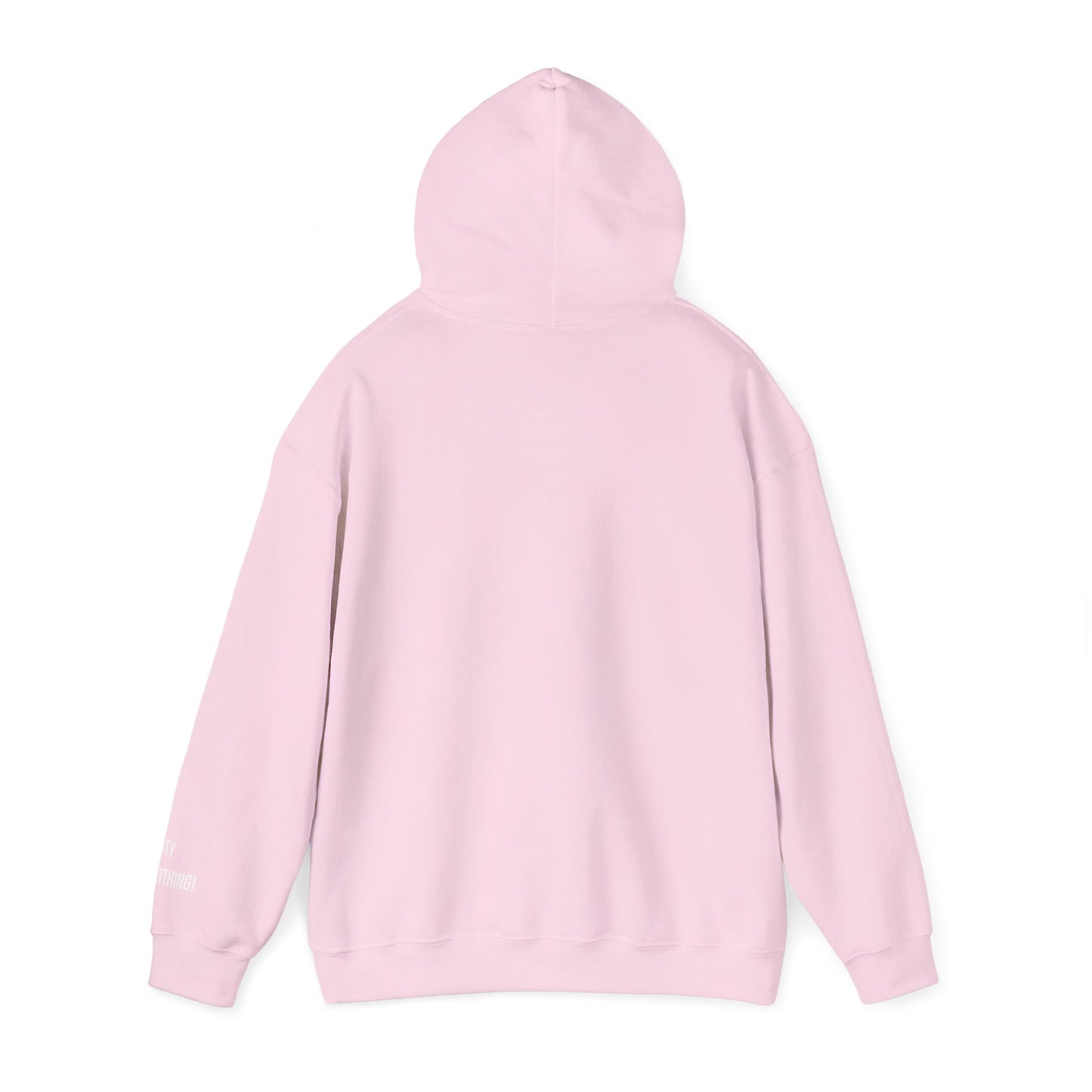 New Orleans City Hoodie – My City Is Everything!