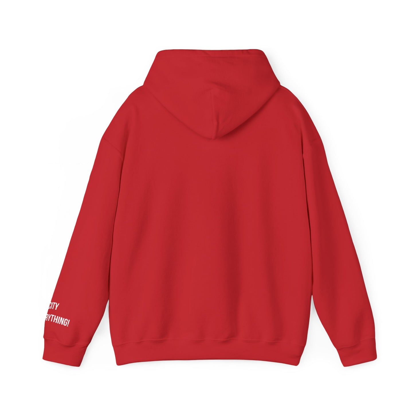 New York Is Everything Hoodie – My City N.Y. Edition