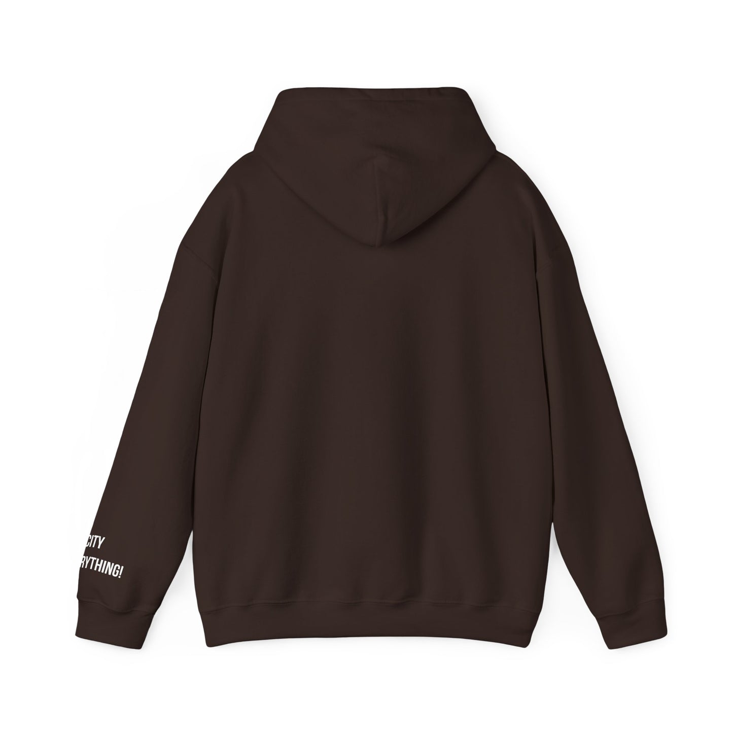Chicago Hoodie – My City Is Everything!
