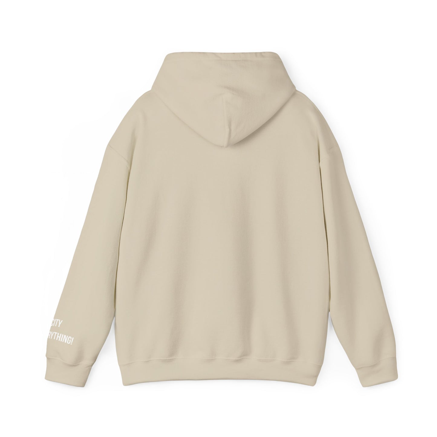 New Orleans City Hoodie – My City Is Everything!