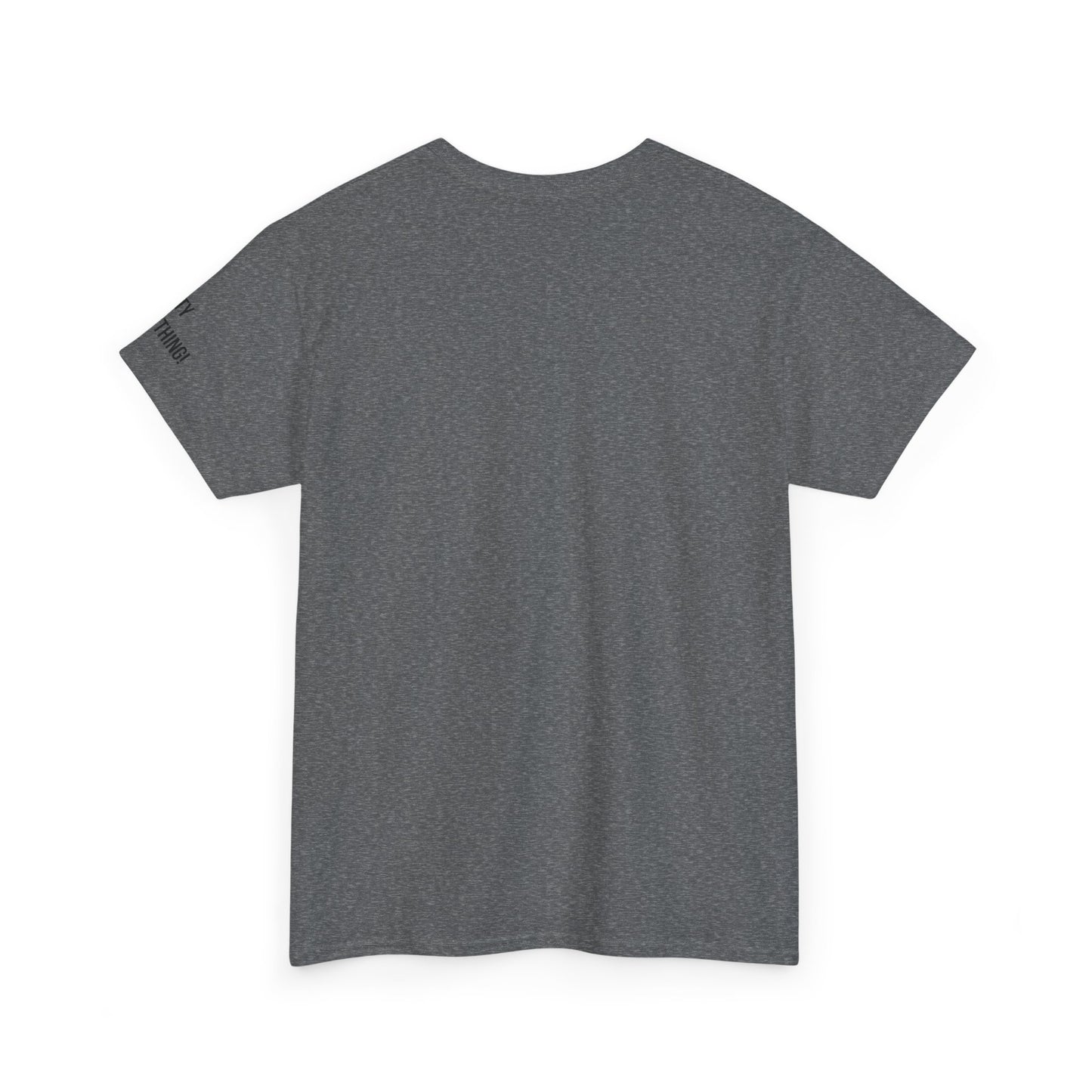 Brooklyn+ Is Everything! Tee – Bold Arch Graphic Shirt | My City Is Everything