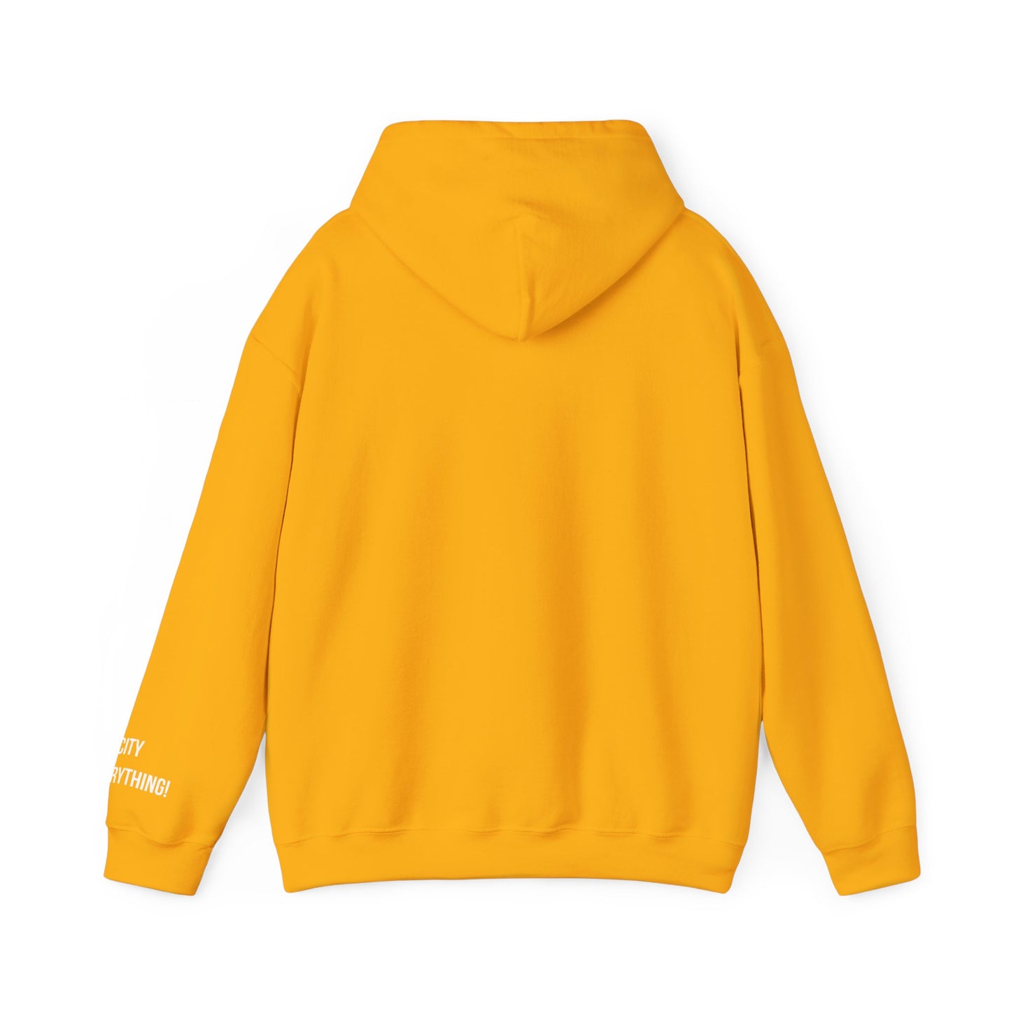 Los Angeles City Hoodie – My City Is Everything!