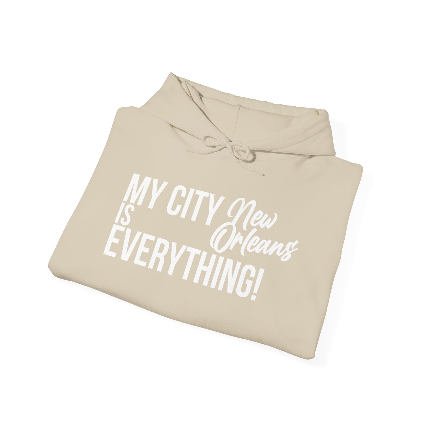 New Orleans City Hoodie – My City Is Everything!