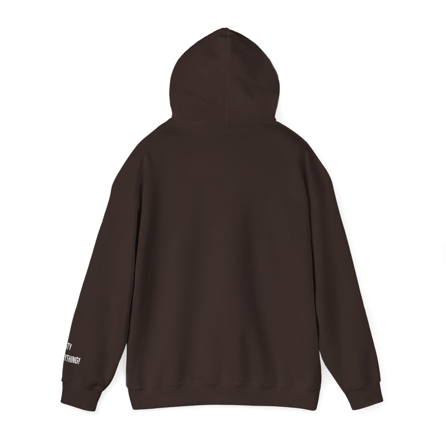 New Orleans City Hoodie – My City Is Everything!