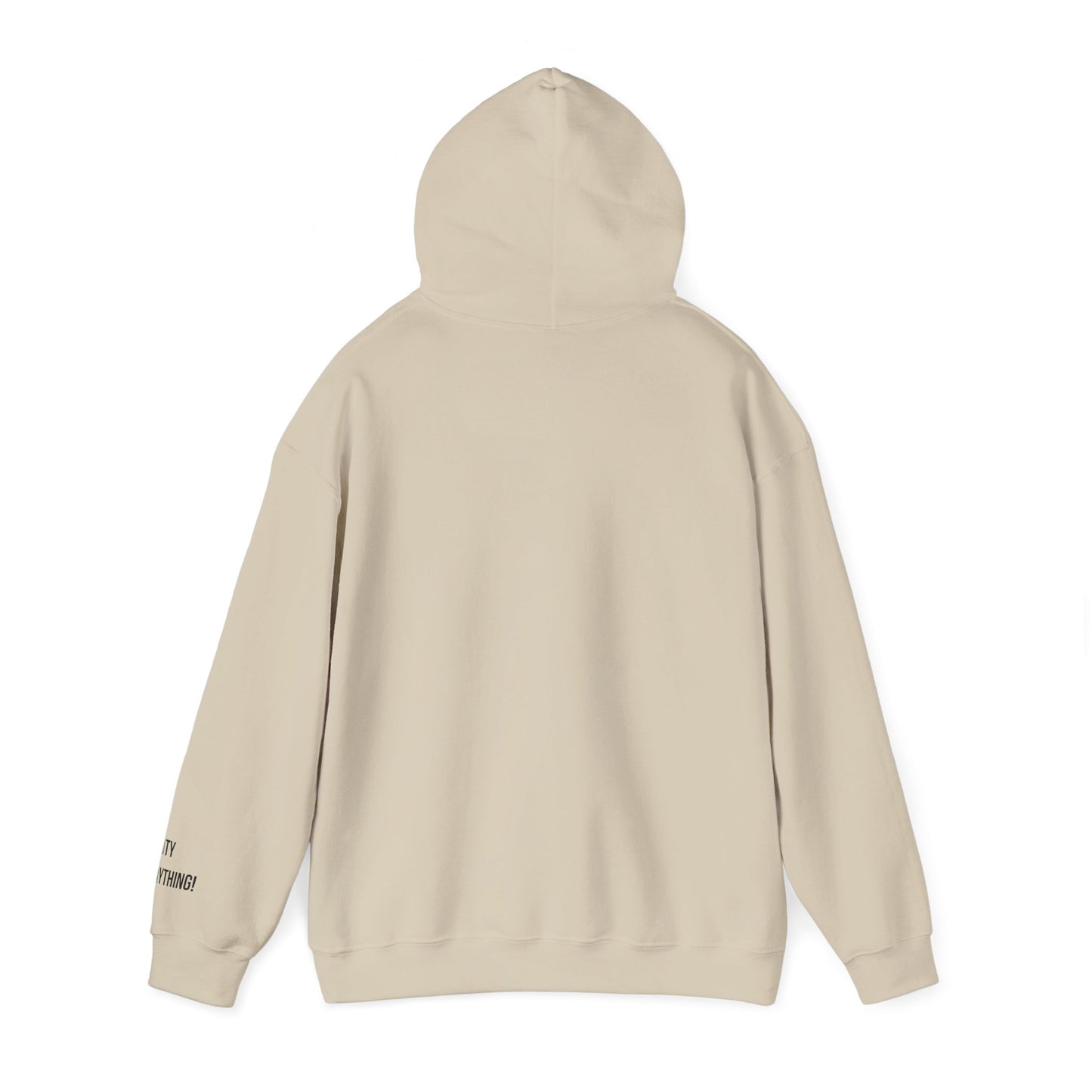 I ❤️ My City Jets Pigeon Hoodie – NYC Streetwear