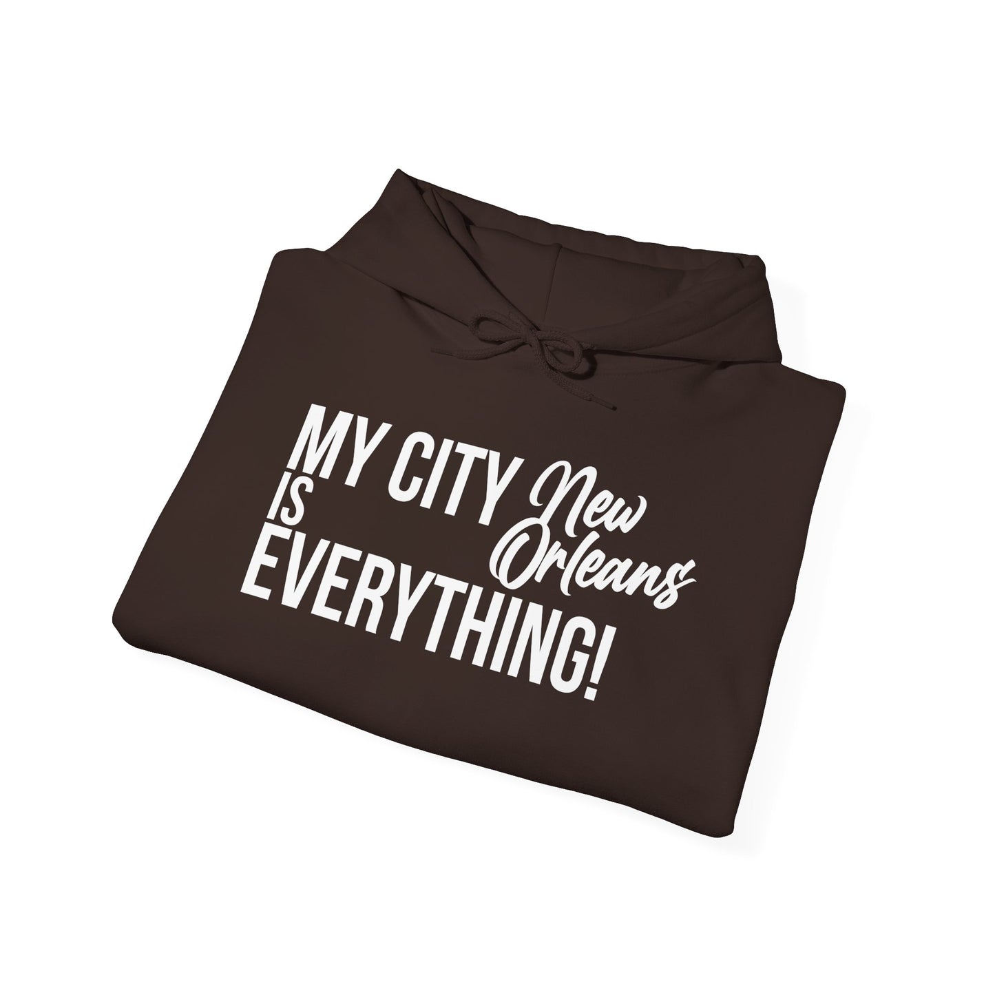 New Orleans City Hoodie – My City Is Everything!