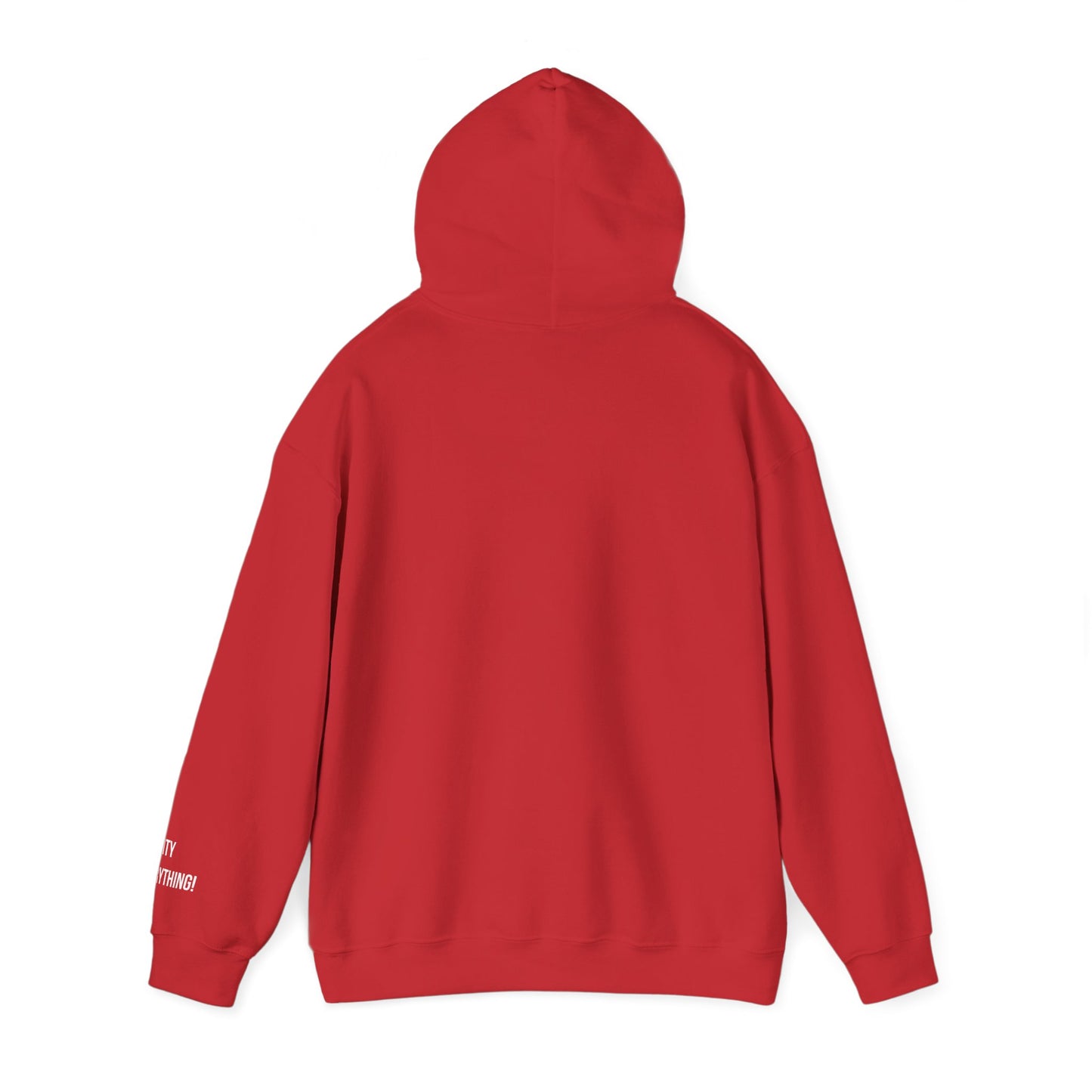 New Orleans City Hoodie – My City Is Everything!