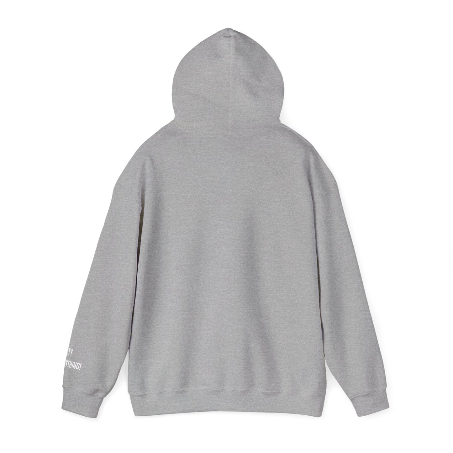 Chicago Hoodie – My City Is Everything!