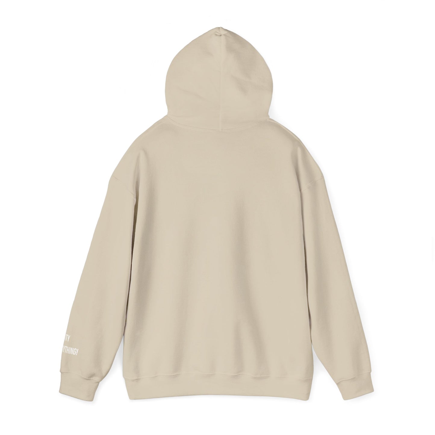 New Orleans City Hoodie – My City Is Everything!