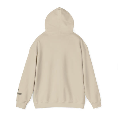 I Love My City Rangers Pigeon Hoodie – Streetwise Urban Drop by My City Is Everything!