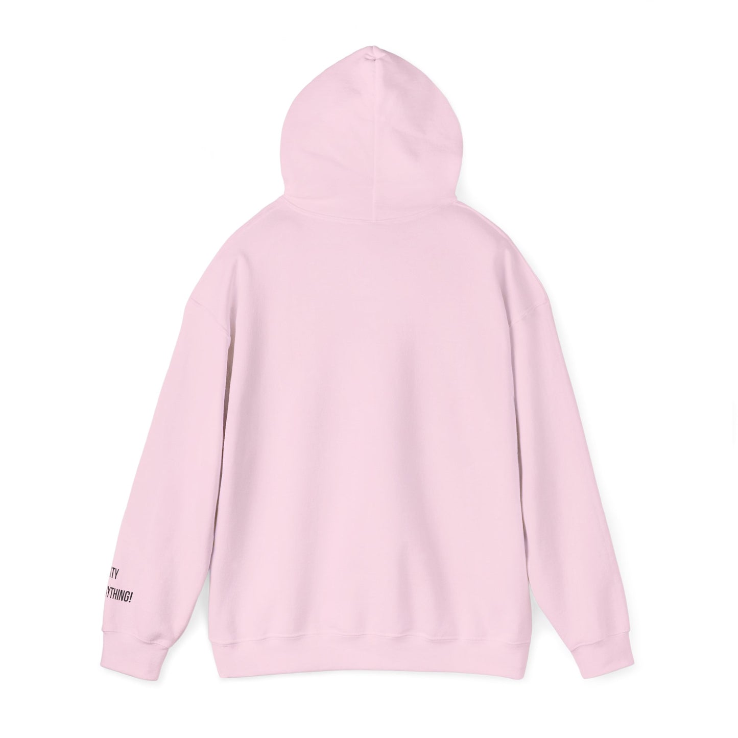 I ❤️ My City Jets Pigeon Hoodie – NYC Streetwear