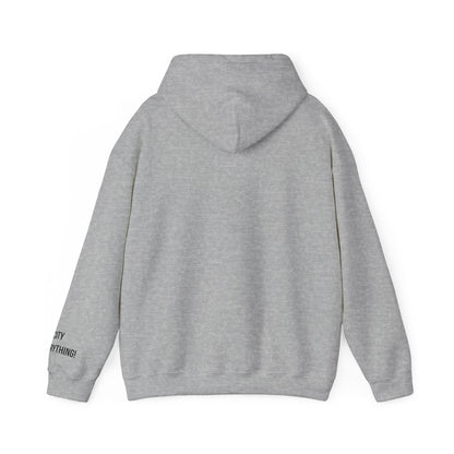 I ❤️ My City Jets Pigeon Hoodie – NYC Streetwear