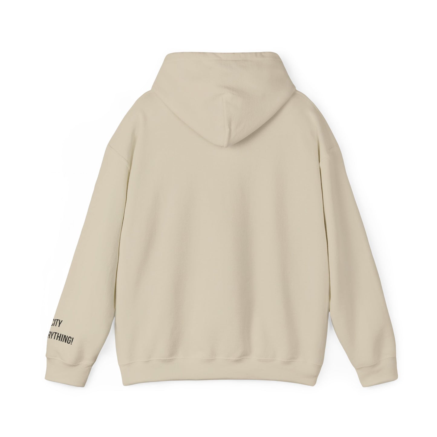 I ❤️ My City Jets Pigeon Hoodie – NYC Streetwear