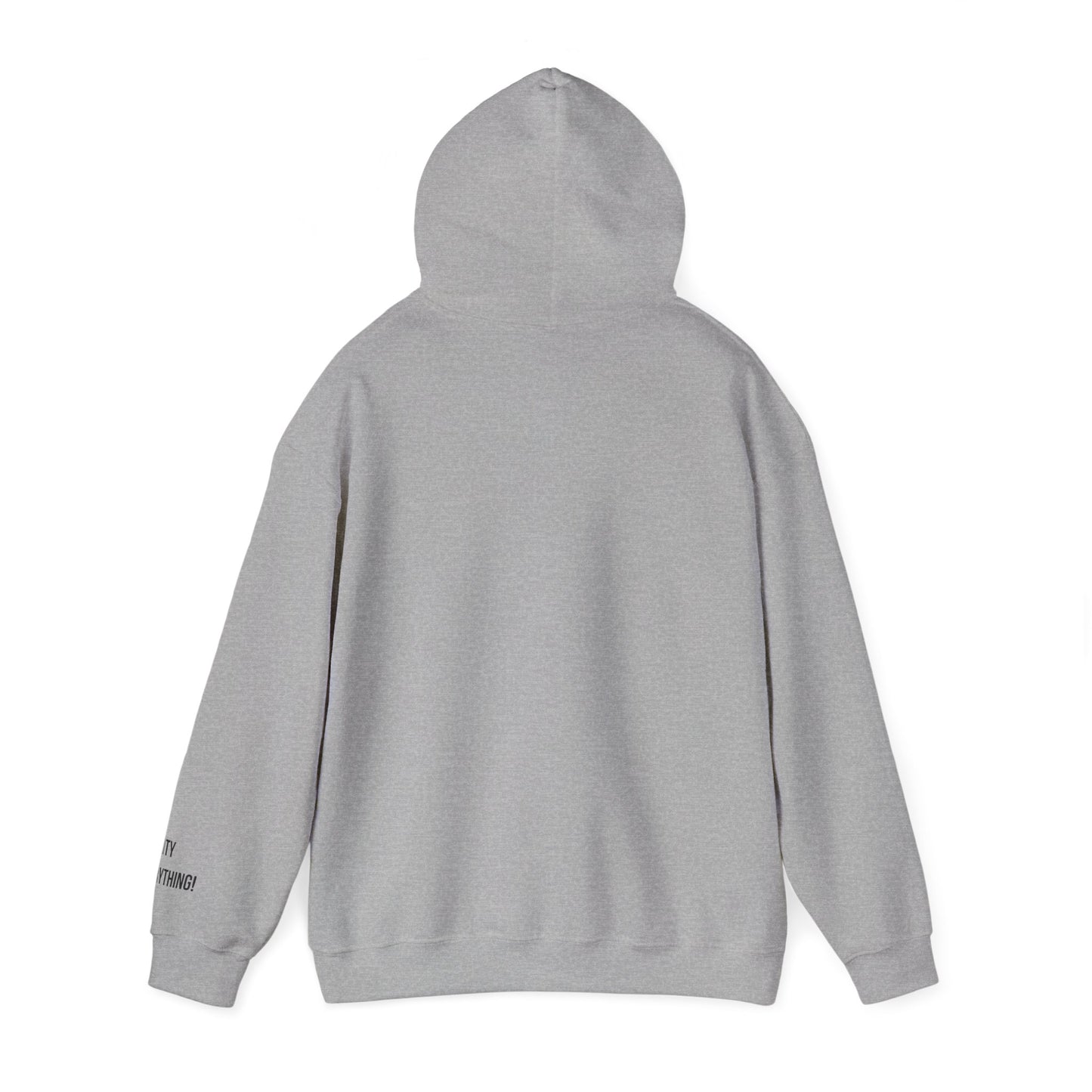 I ❤️ My City Jets Pigeon Hoodie – NYC Streetwear