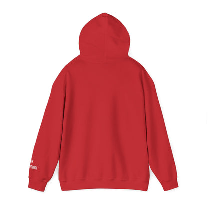 New York Is Everything Hoodie – My City N.Y. Edition