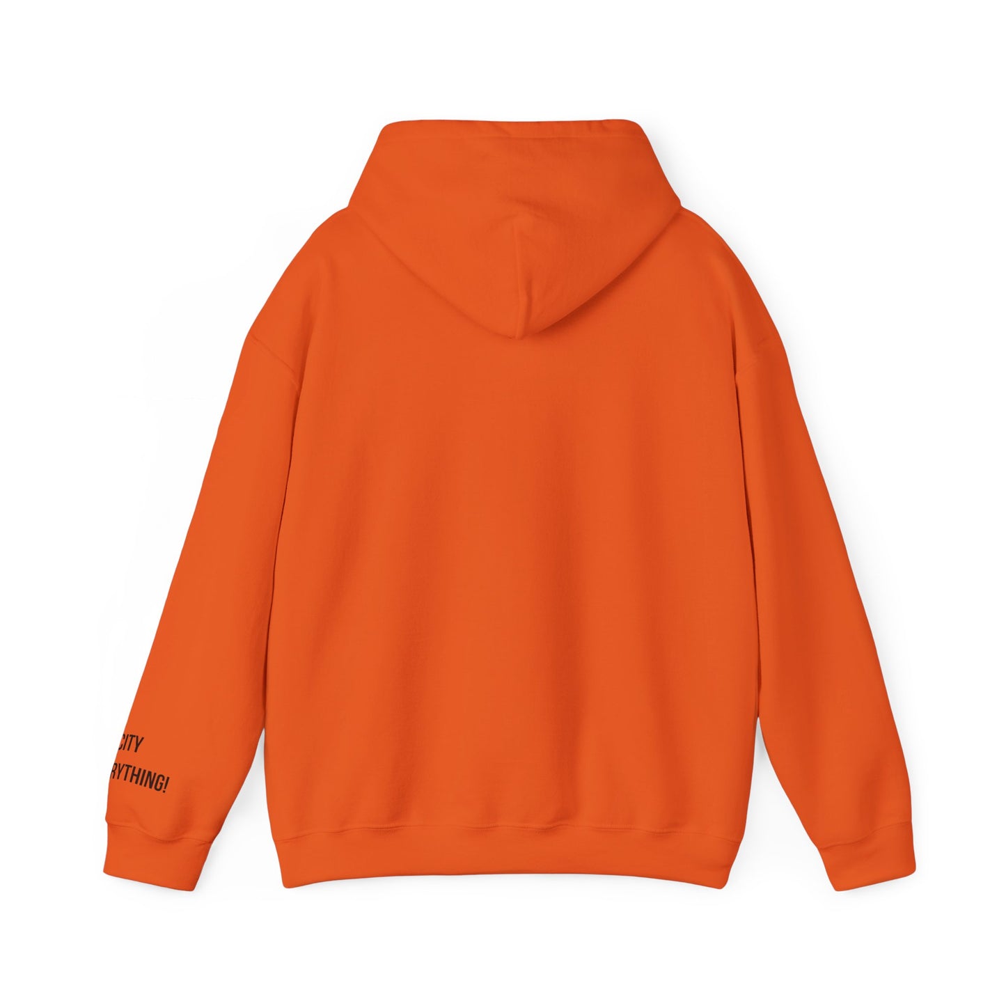 Los Angeles+ Is Everything! Hoodie – West Coast Arch Design | My City Is Everything
