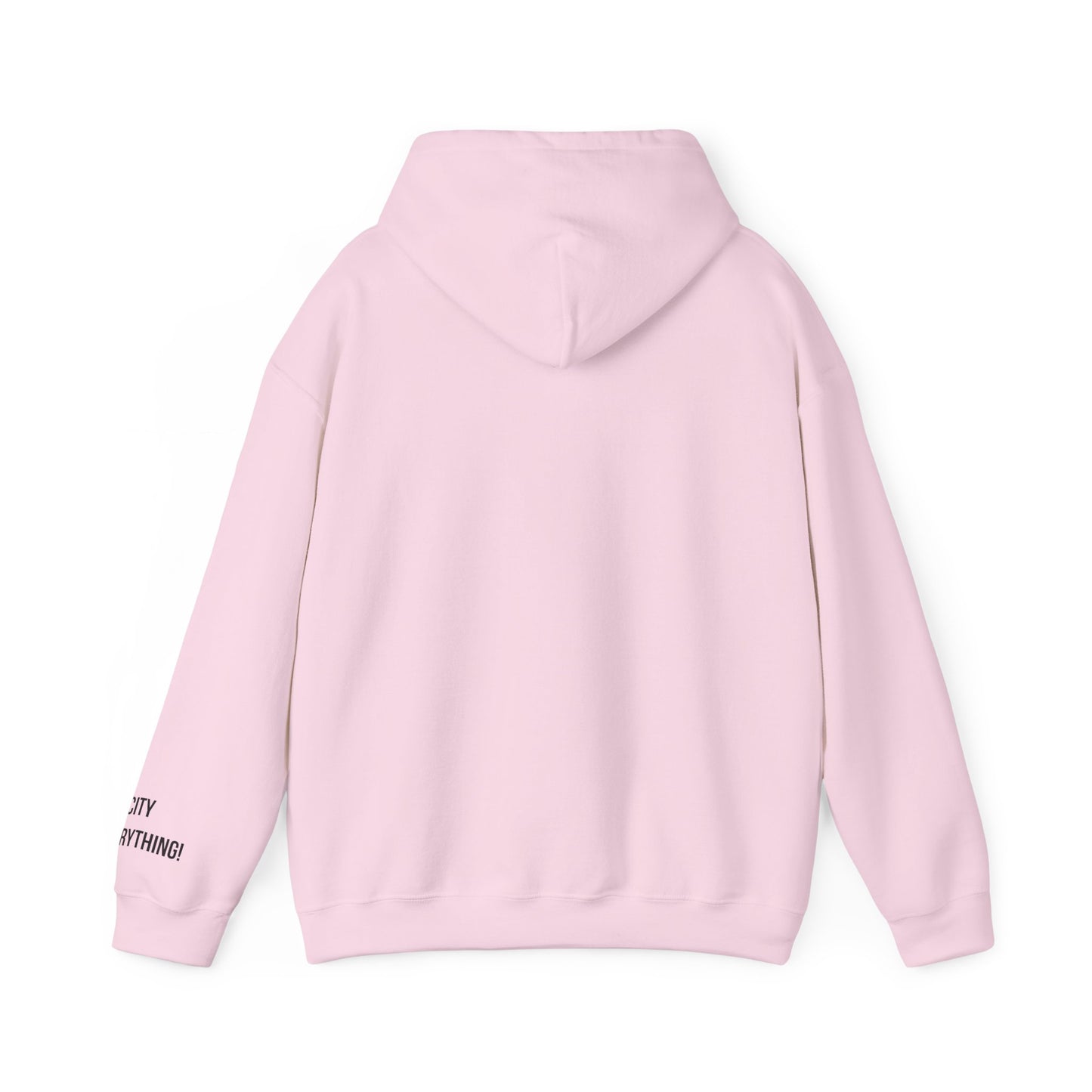 I ❤️ My City Jets Pigeon Hoodie – NYC Streetwear