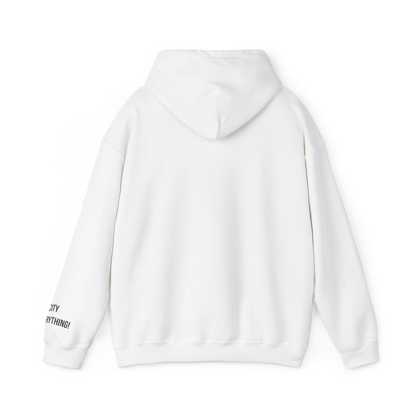 I ❤️ My City Jets Pigeon Hoodie – NYC Streetwear