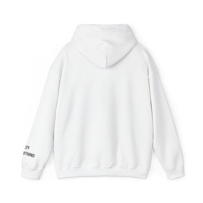 I Love My Knicks Pigeon Hoodie – Streetwise Urban Drop by My City Is Everything!