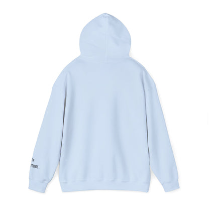 I Love My City Rangers Pigeon Hoodie – Streetwise Urban Drop by My City Is Everything!