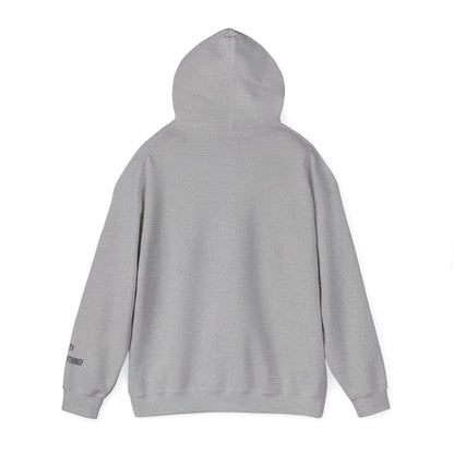I Love My Knicks Pigeon Hoodie – Streetwise Urban Drop by My City Is Everything!